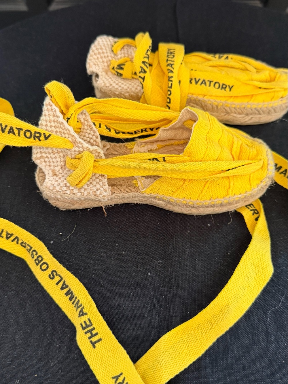 The Animals Observatory Kids Yellow Espadrilless Euro 24 / US 8